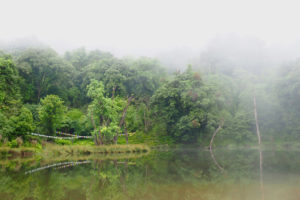 1728x1152_Bhutan-nebelige-Landschaft