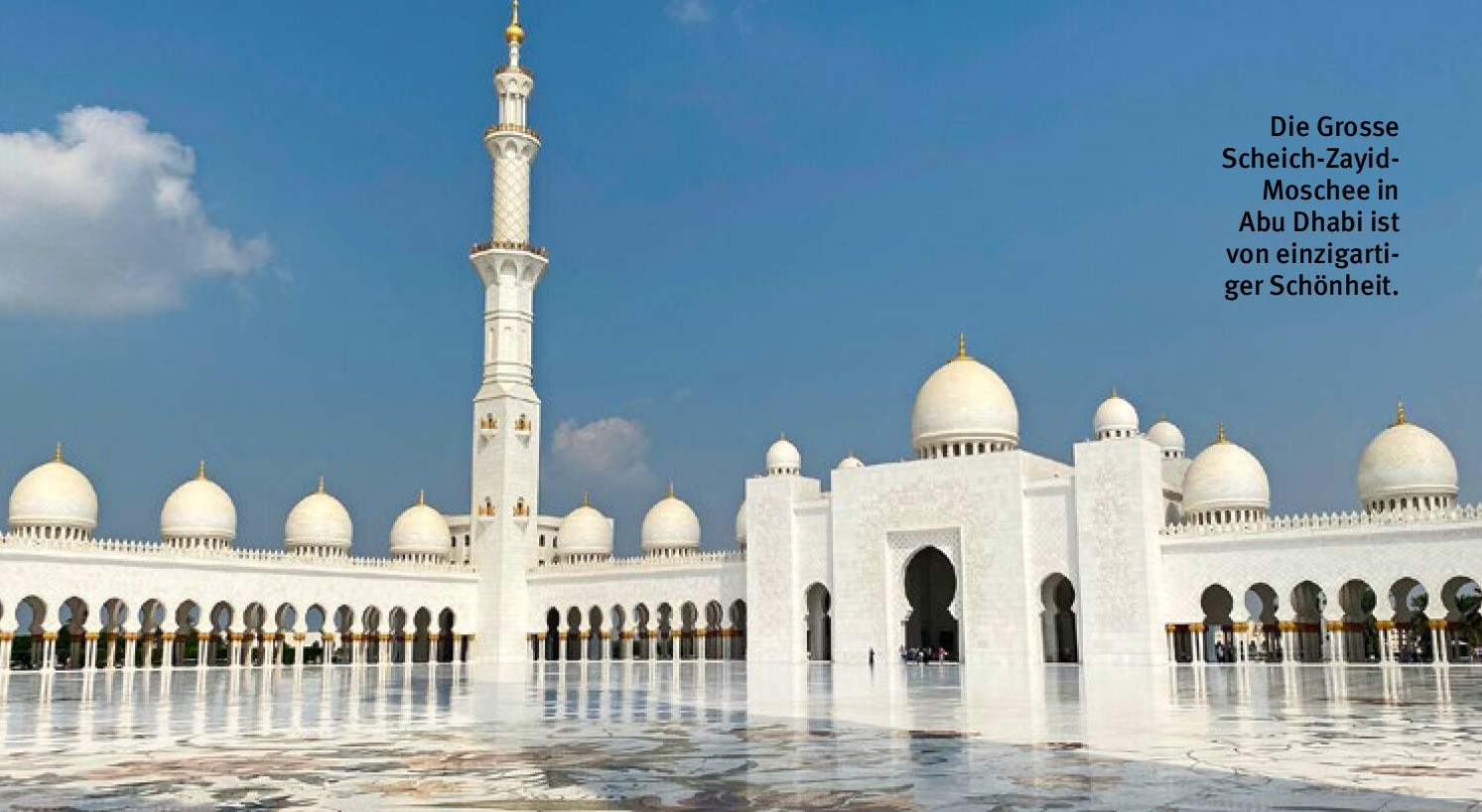 Die Große Scheich-Zayid-Moschee
