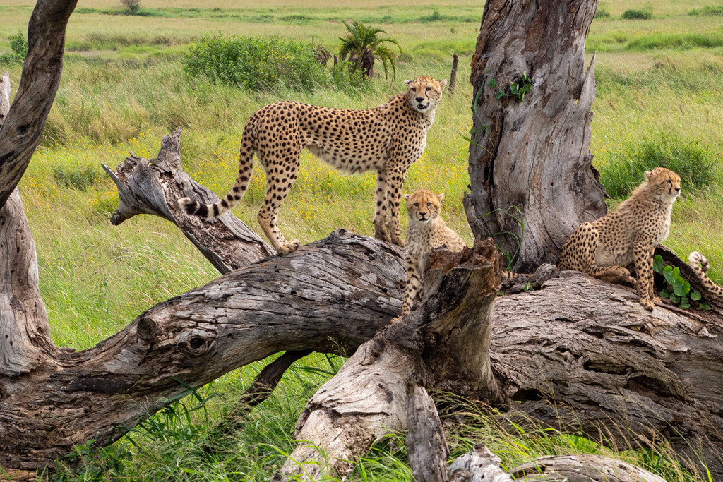 Botswana