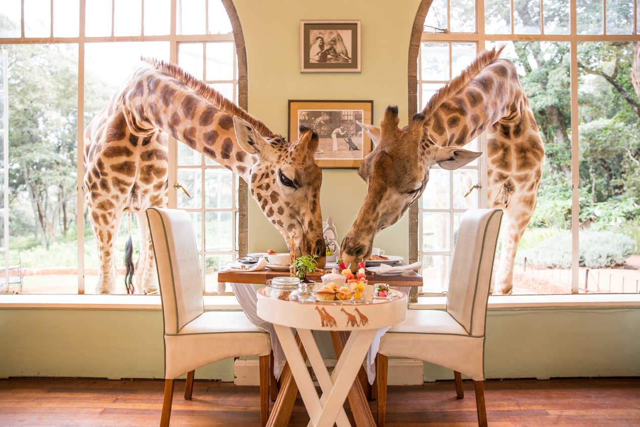 Giraffe Manor – Nairobi, Kenia