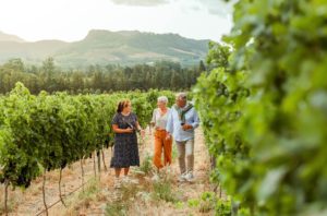 Südafrika beste Reisezeit Weindegustationen Foto eines Paars mit einer Bäuerin mit Weinberg-Besichtiugng.
