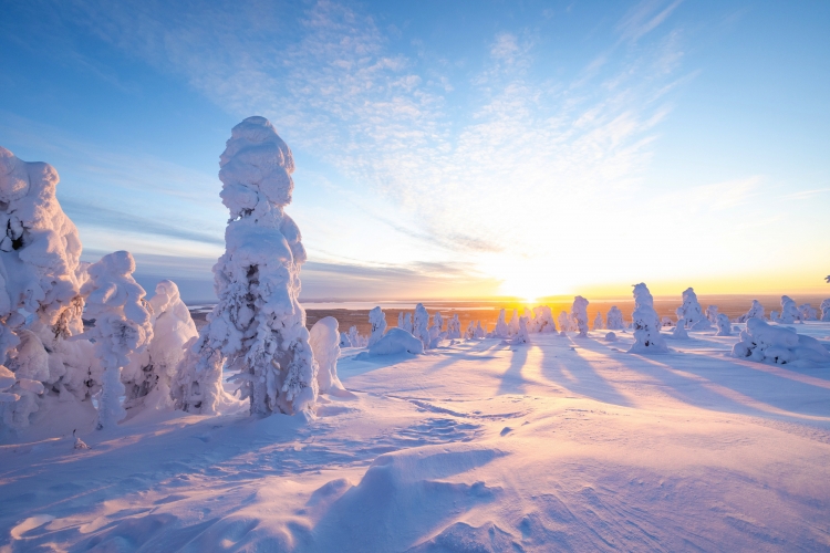 <p><span>Winterfeeling im Norden</span></p>