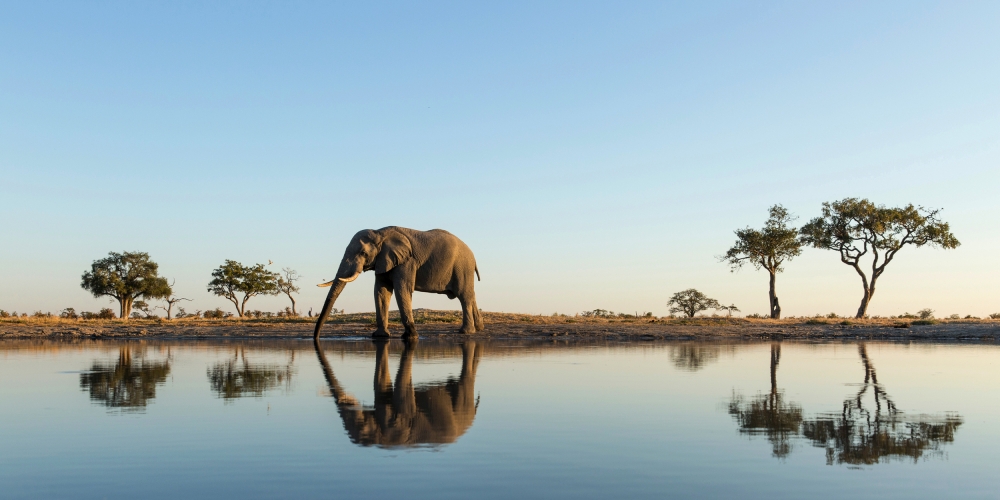<p>Botswana - wilde Tiere und traumhafte Landschaften</p>